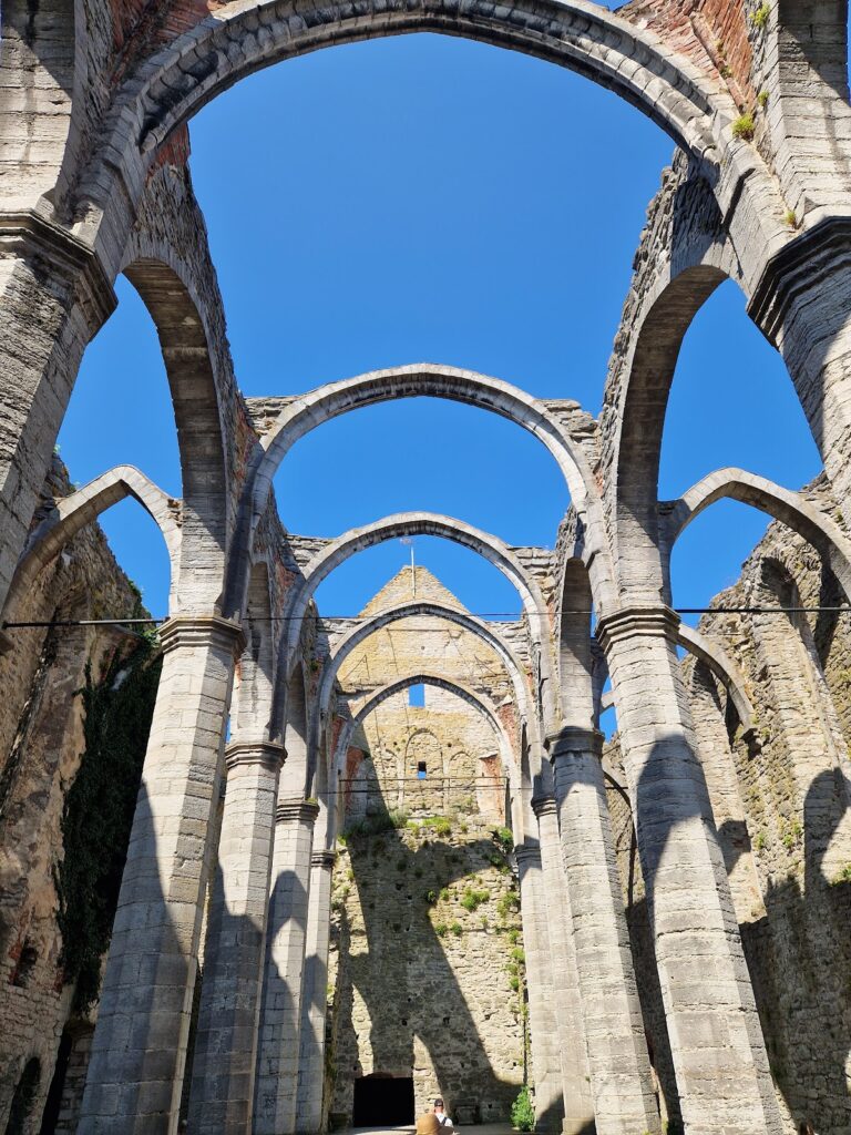 Saint Catherine in Visby: A Franciscan Monastery Church in Sweden