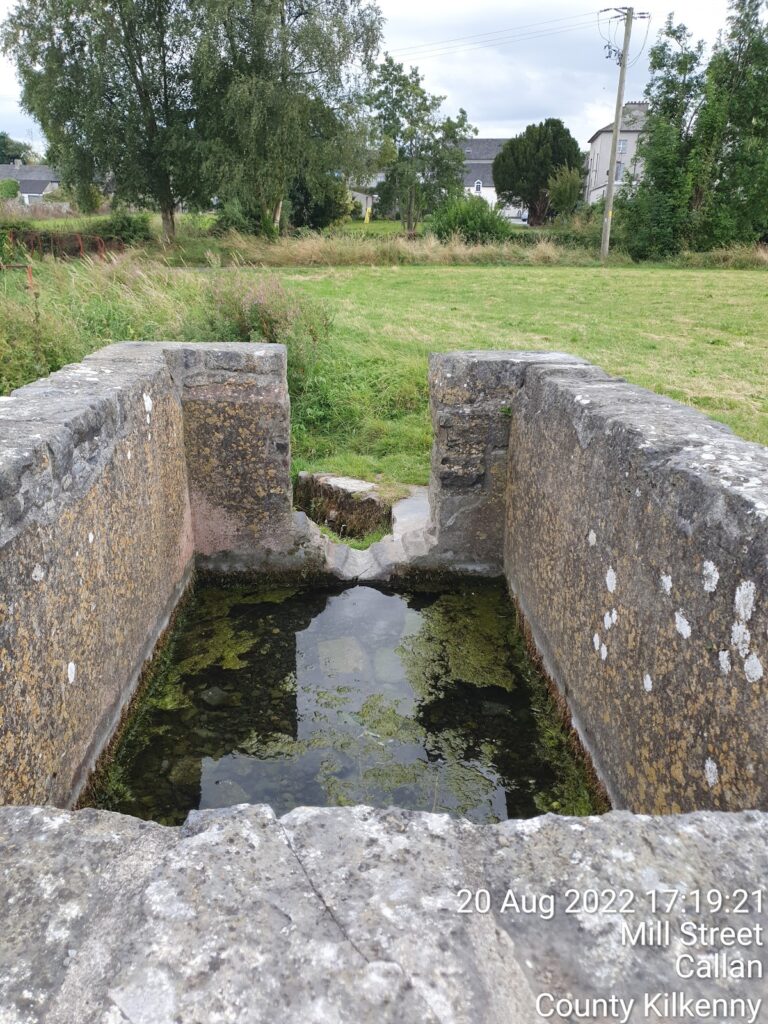 Callan Augustinian Friary: A Fifteenth-Century Monastic Foundation in Ireland 2 Callan Augustinian Friary