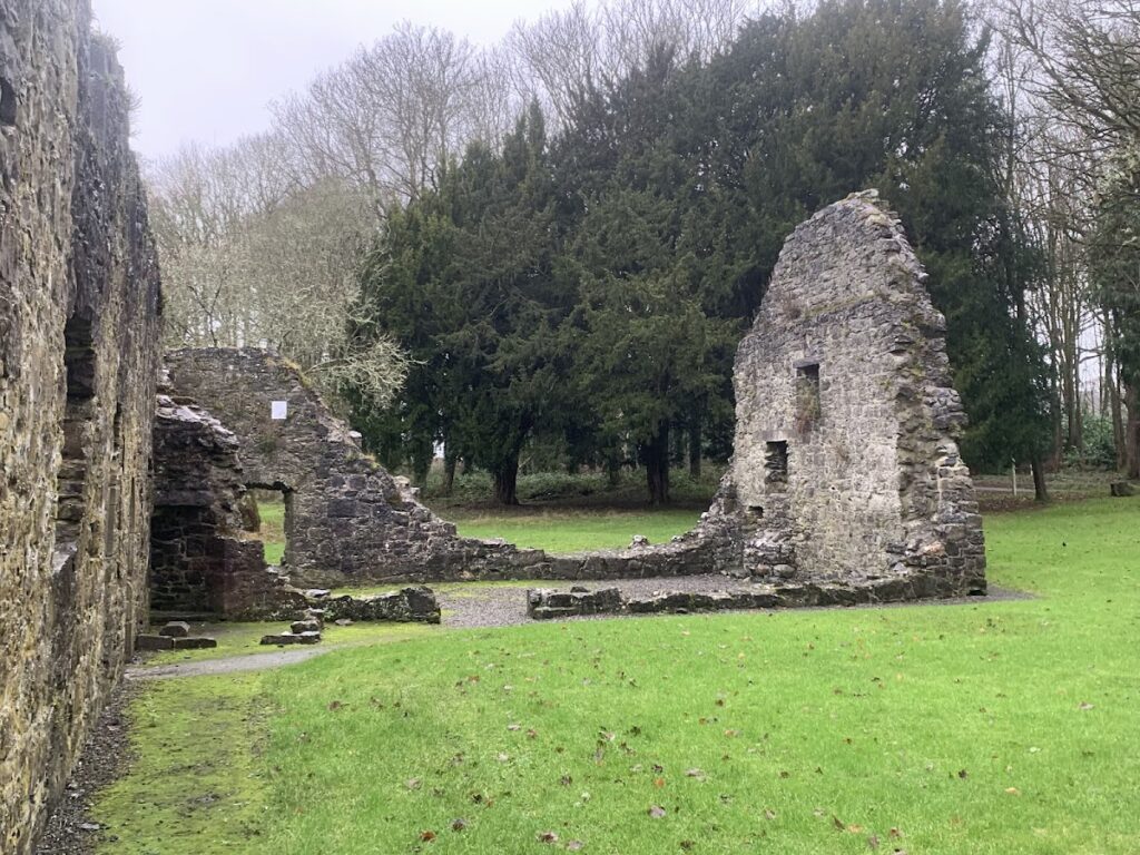 Portumna Friary: A Cistercian and Dominican Religious House 2 Portumna Friary
