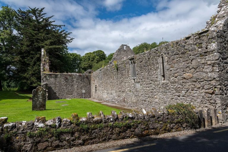Portumna Friary: A Cistercian and Dominican Religious House