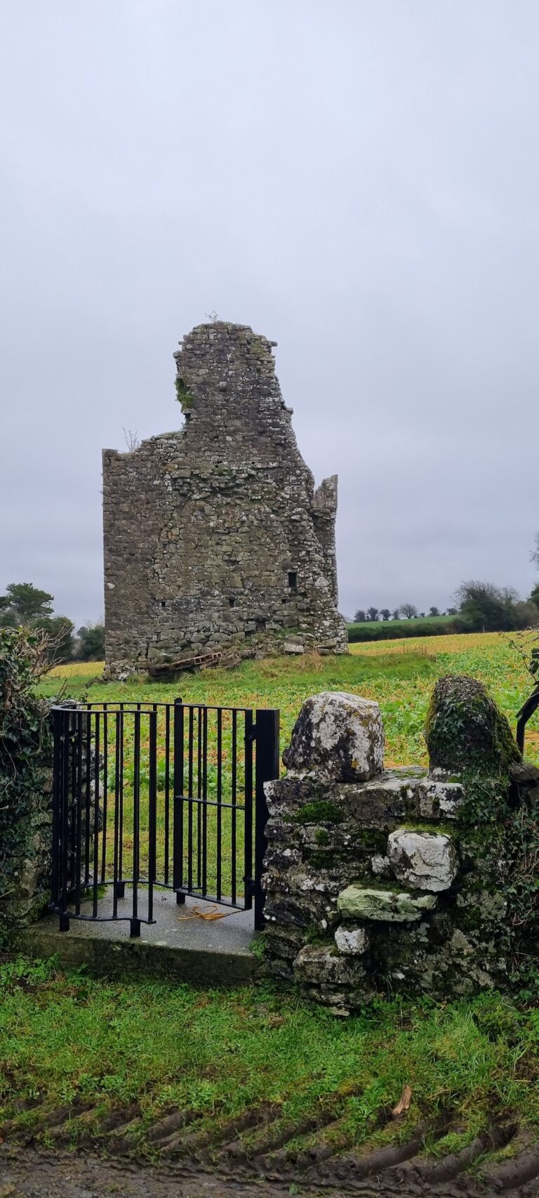 Ballylarkin Church: A Medieval Parish Church in Ireland