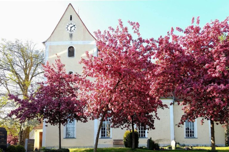 Martin-Luther-Kirche Dewitz: A Romanesque Branch Church in Germany