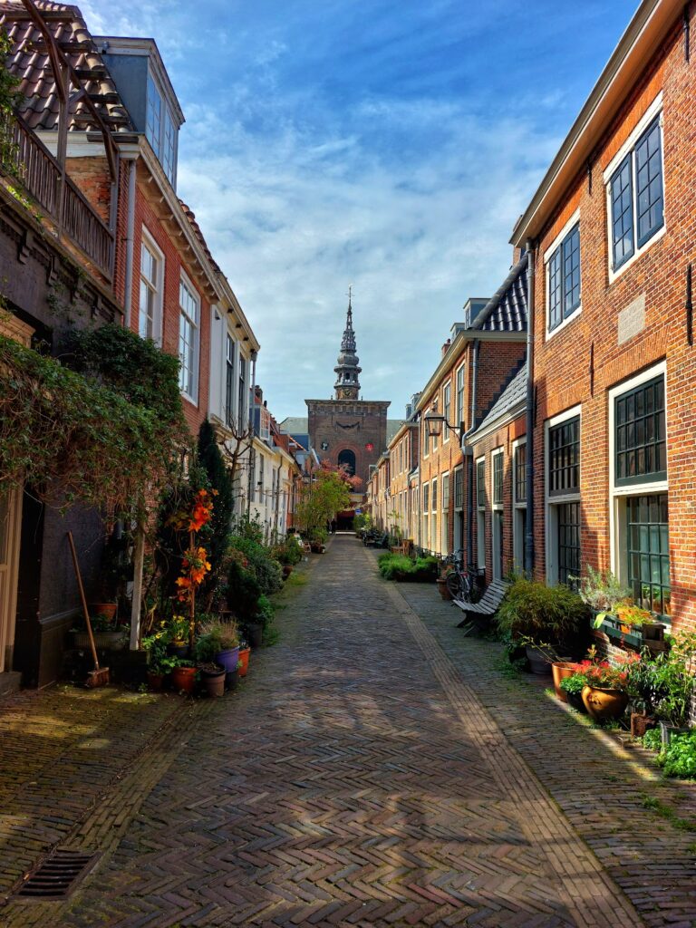 Nieuwe Kerk: A Seventeenth-Century Protestant Church in Haarlem 2 Nieuwe Kerk