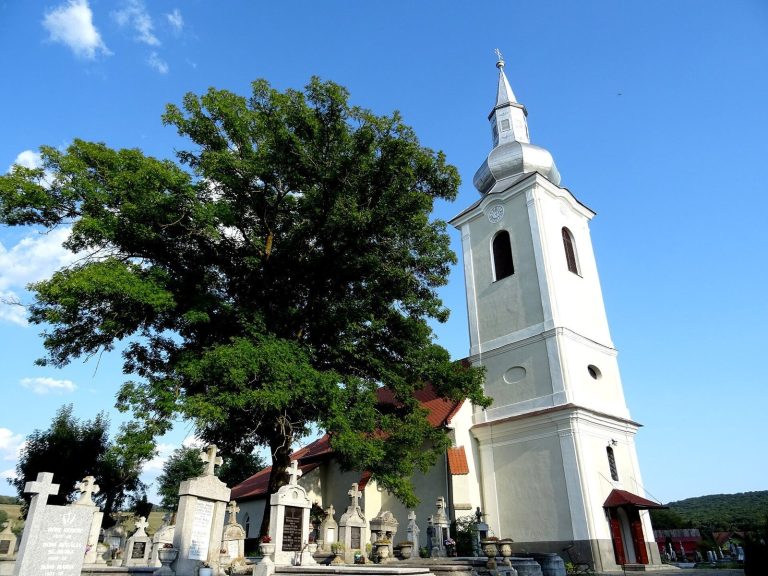 Catholic Church of Sângeorgiu de Mureș: A Medieval Parish Church in Romania