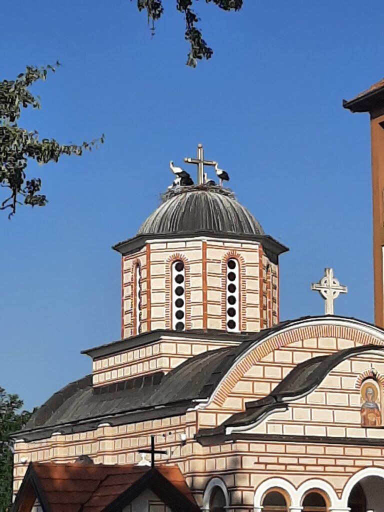 Church of St. Petka in Donja Budriga: A Medieval Orthodox Church
