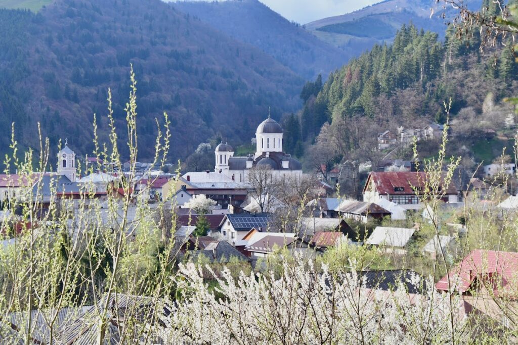 Church Ruins at Rodna: A Medieval Romanesque Basilica in Romania 2 Ruins of the church in Rodna