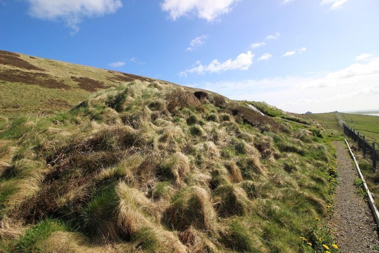 Blackhammer Chambered Cairn: A Neolithic Burial Monument on Rousay