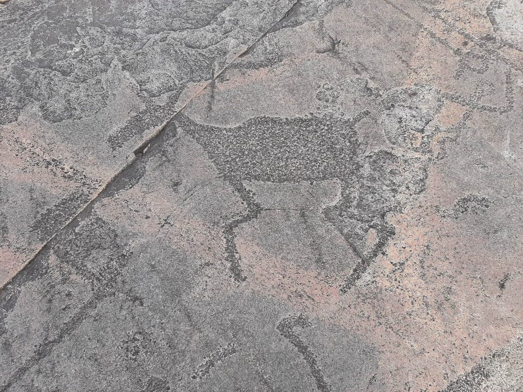 Onega Petroglyphs: Prehistoric Rock Art on Lake Onega 2 Onega petroglyphs