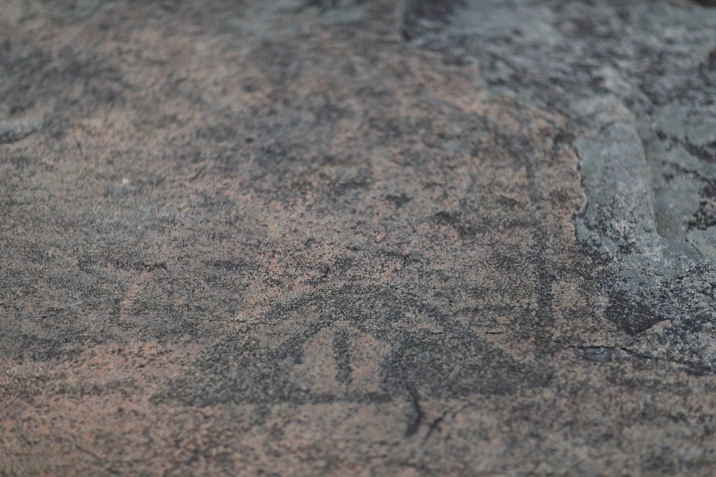 Onega Petroglyphs: Prehistoric Rock Art on Lake Onega 3 Onega petroglyphs
