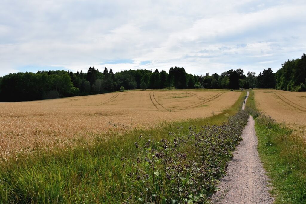 Håga kurgan: A Nordic Bronze Age Burial Mound in Sweden 3 Håga kurgan