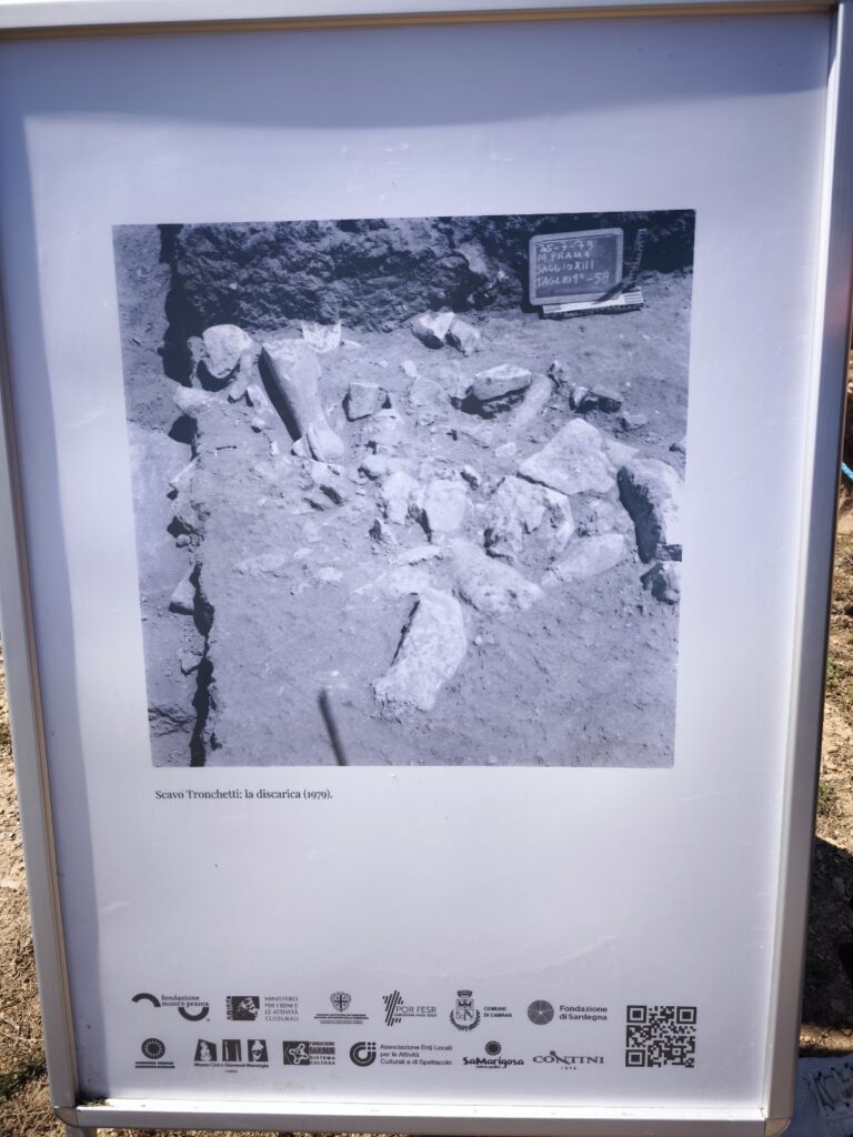 Giants of Mont'e Prama: A Nuragic Monumental Complex in Sardinia 3 Giants of Mont'e Prama
