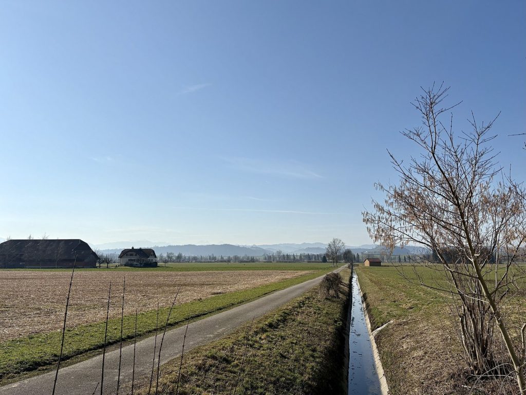 Wauwilermoos: A Neolithic Pile-Dwelling Settlement in Switzerland 2 Wauwilermoos pile dwelling settlement
