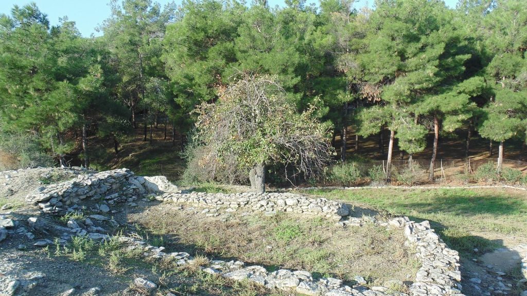 Sesklo archaeological site