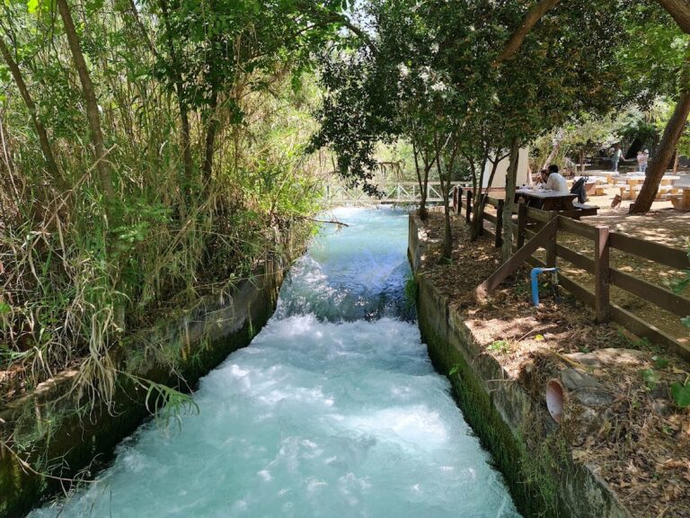 Dan: An Ancient Canaanite and Israelite City in Israel