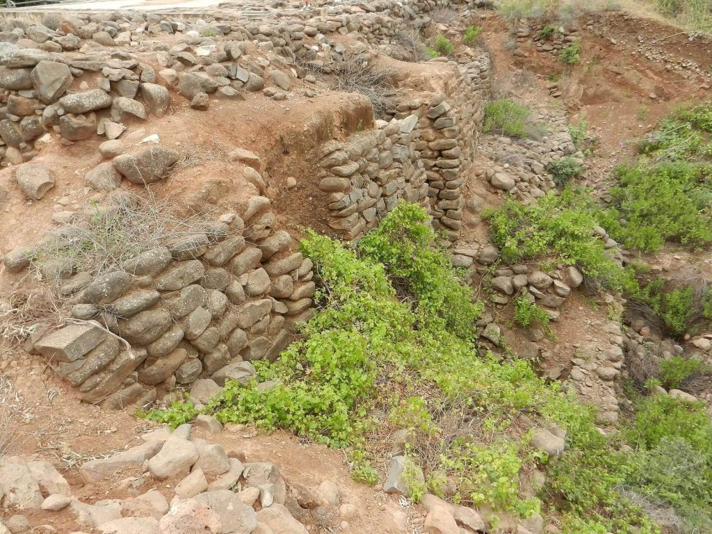 Dan: An Ancient Canaanite and Israelite City in Israel 3 Dan