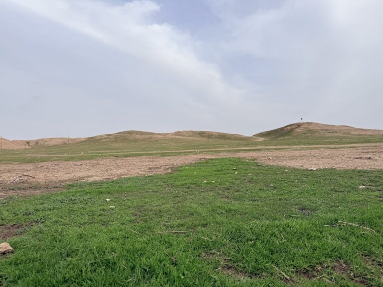 Chagar Bazar: A Multi-period Tell and Old Babylonian Administrative Center