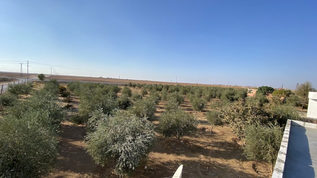 Chagar Bazar: A Multi-Period Settlement Mound in Syria 2 Chagar Bazar