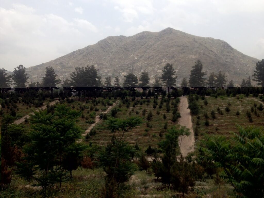 Bagh-e Bala Palace: A Former Royal Summer Residence in Kabul 2 Bagh-e Bala Palace