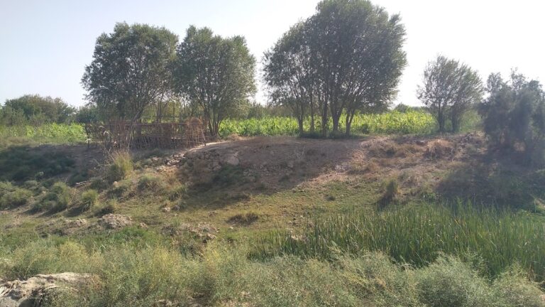 Zartepa: An Ancient Urban Center of Northern Bactria