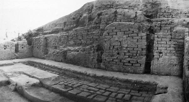 Kanka: An Ancient Urban Center in Uzbekistan 3 Kanka