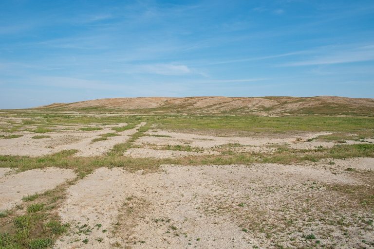 Altyndepe: A Bronze Age Urban Settlement in Turkmenistan