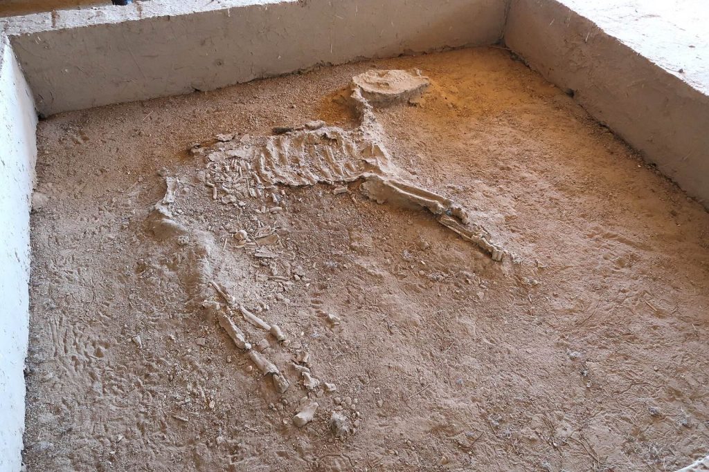 Gonur Depe: A Major Bronze Age Settlement in Turkmenistan 1 Gonur Depe