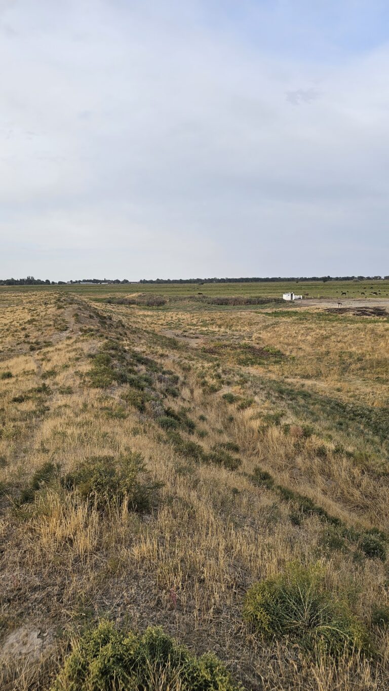 Kostobe: A Medieval Sogdian Urban Settlement in Kazakhstan