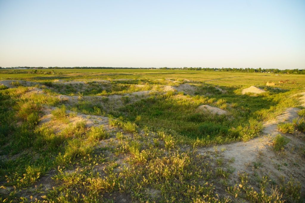 Kostobe: A Medieval Sogdian Urban Settlement in Kazakhstan 3 Kostobe