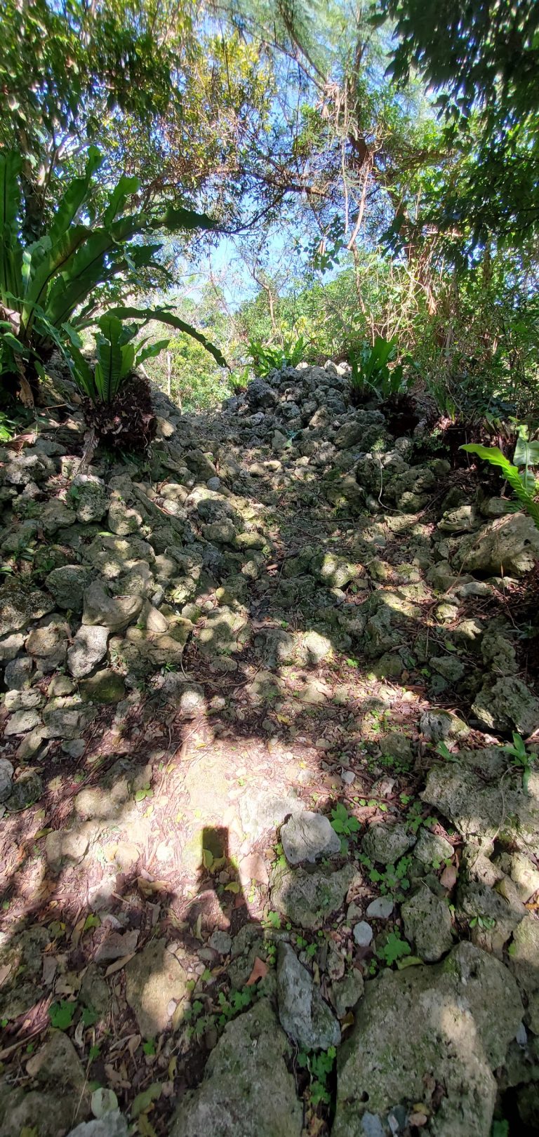 Chatan Castle: A Ryūkyūan Fortress and Sacred Complex in Japan