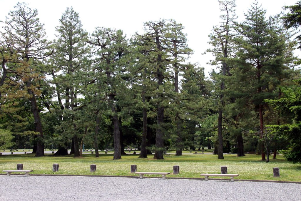 Kyoto Imperial Palace