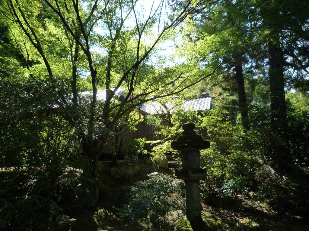 Shōren-in Temple: A Tendai Monzeki Temple in Kyoto 3 Shōren-in Temple