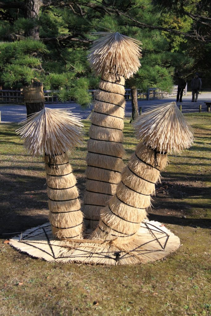 Hamarikyu Gardens