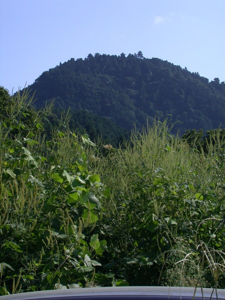 Hachiōji Castle: A Sengoku-Period Mountain Fortress in Japan