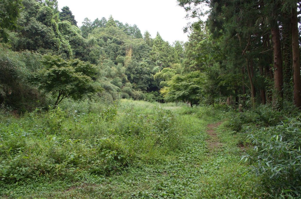 Hachiōji Castle: A Sengoku-Period Mountain Fortress in Japan 4 Hachiōji Castle