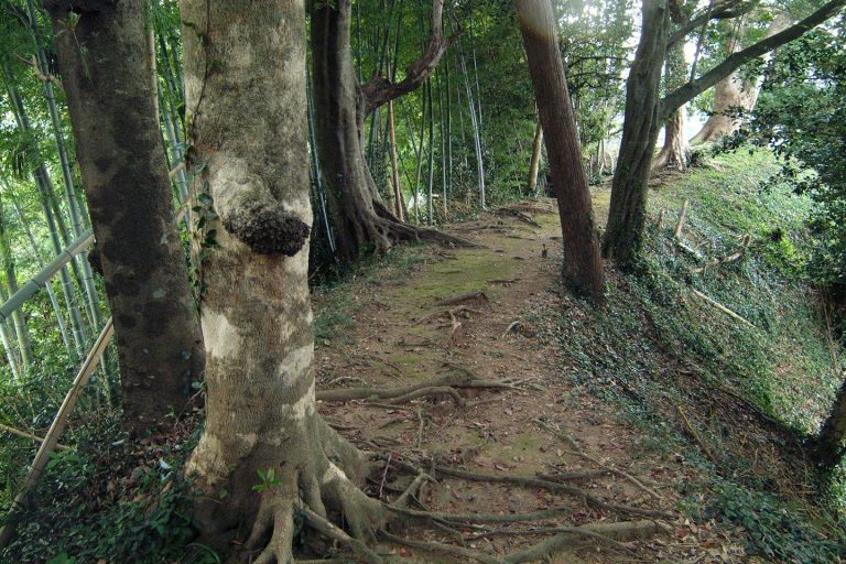 Ito Castle: A Nara-Period Mountain Fortress in Japan
