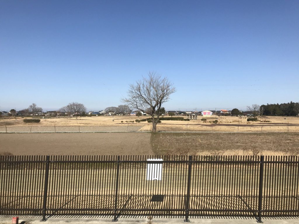 Ruins of Saikū: Palace and Administrative Complex of the Saiō 5 Ruins of Saikū