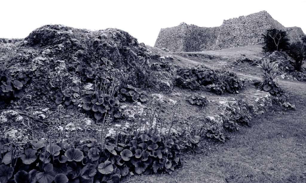 Nakagusuku Castle: A Ryukyuan Gusuku Fortification in Japan 3 Nakagusuku Castle
