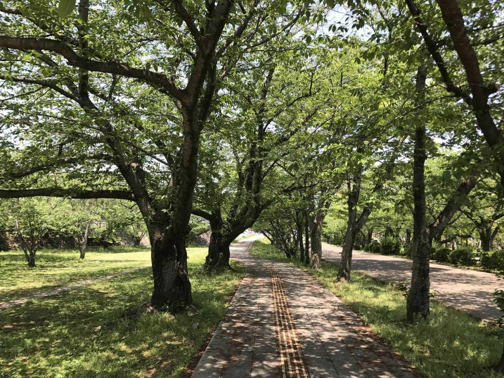 Nakatsu Castle