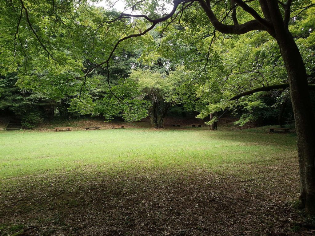 Takiyama Castle: A Sixteenth-Century Fortress in Hachioji, Japan 3 Takiyama Castle