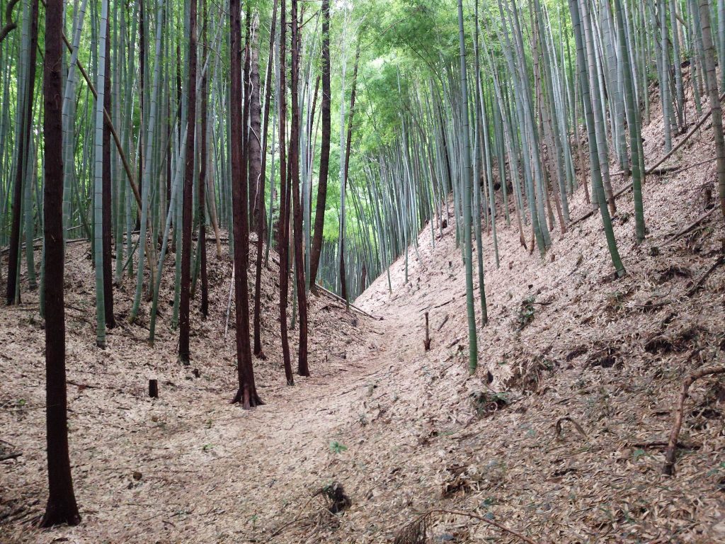 Takiyama Castle: A Sixteenth-Century Fortress in Hachioji, Japan 4 Takiyama Castle