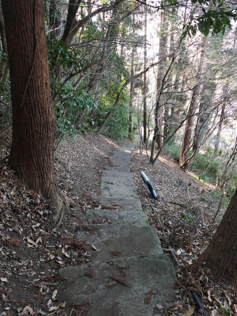 Hiyoshi Taisha: The Head Shrine of Japan’s Hiyoshi Tradition 3 Hiyoshi Taisha