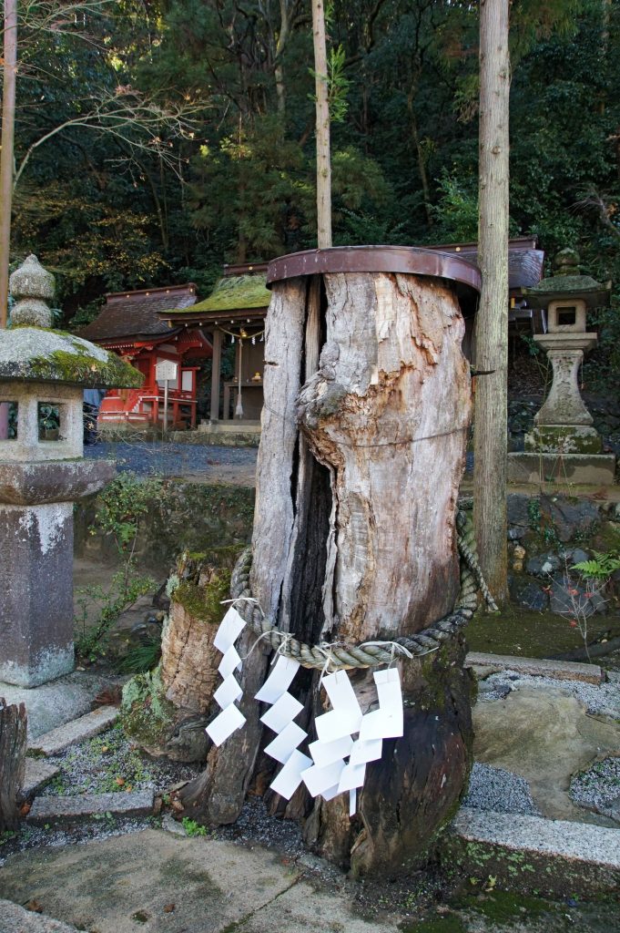 Matsunoo Taisha: A Shinto Shrine in Kyoto 5 Matsunoo Taisha