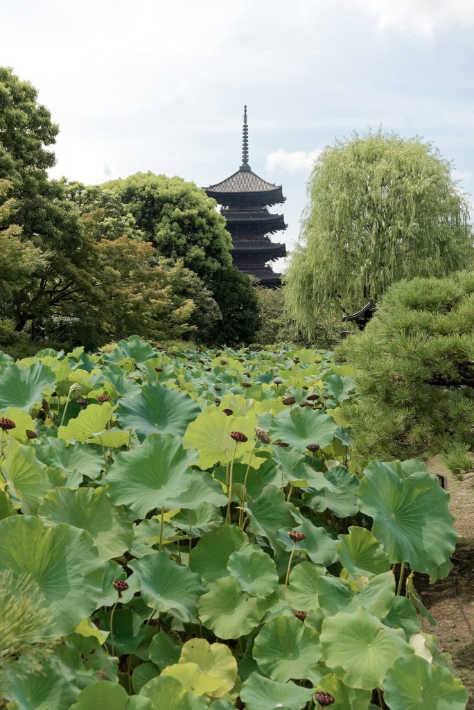 Tō-ji Temple