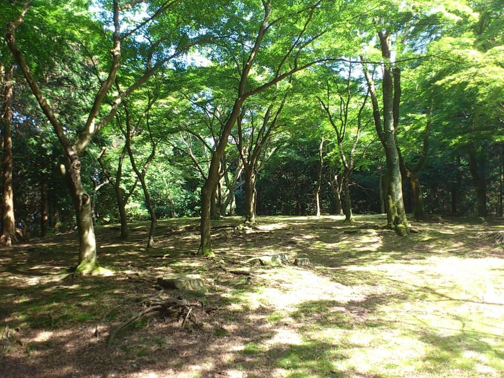 Sūfuku-ji Temple Ruins: A Buddhist Temple Complex of Ancient Ōtsu 2 Sūfuku-ji Temple Ruins