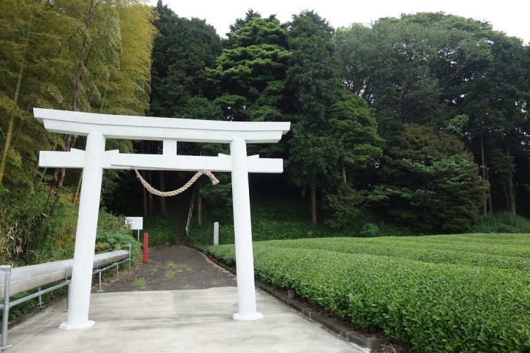 Sengen Kofun: A Large Kofun-Period Burial Mound in Japan