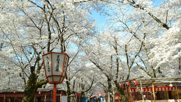 Hirano Shrine: A Heian-Era Imperial Shrine in Kyoto, Japan