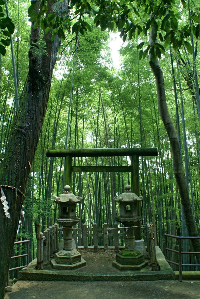 Iwashimizu Hachimangū: A Historic Hachiman Shrine in Japan