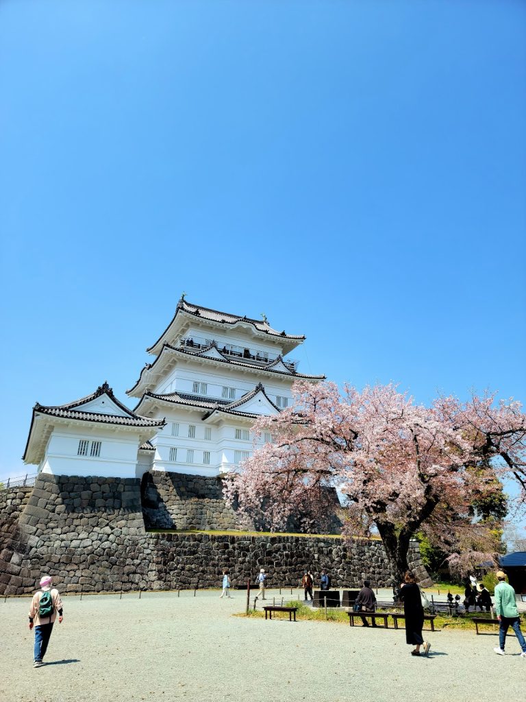 Odawara Castle: A Japanese Hill-and-Plain Fortress in Kanagawa