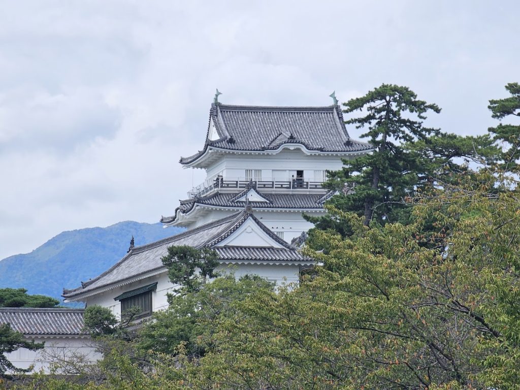 Odawara Castle: A Japanese Hill-and-Plain Fortress in Kanagawa 2 Odawara Castle