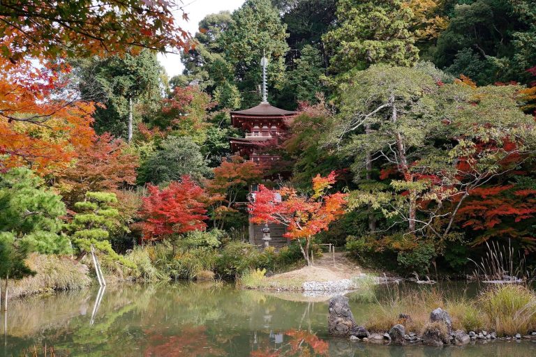 Jōruri-ji Temple: A Heian-Period Buddhist Temple in Japan